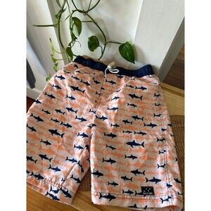 Big Chill Boy’s size 10/12 shark swim suit shorts